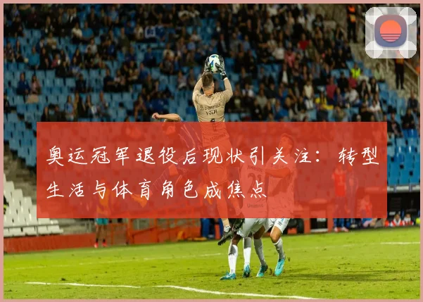奥运冠军退役后现状引关注：转型生活与体育角色成焦点